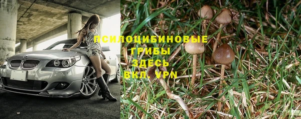 твердый Михайловка