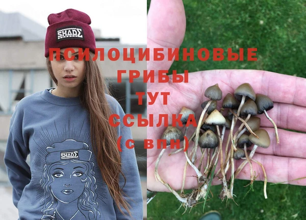твердый Михайловка