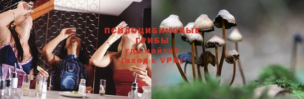каннабис Карабаш