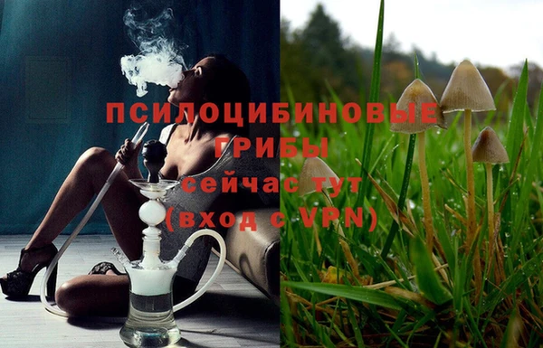 кокаин колумбия Михайлов