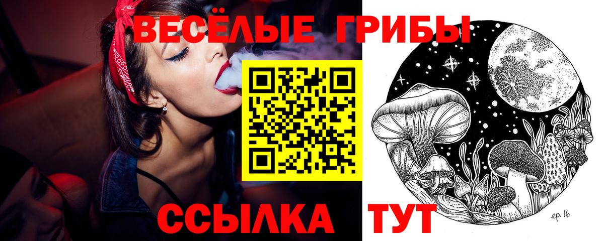что такое   Псилоцибиновые грибы ЛСД  Вход с VPN  Михайловск 