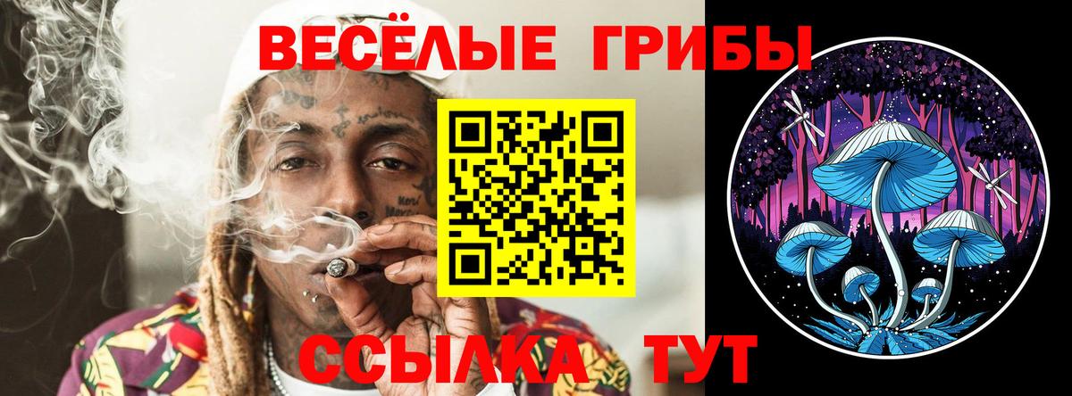 A PVP Михайловск